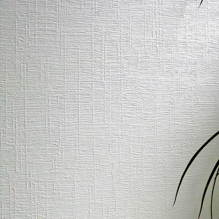 Обои под покраску Anaglypta Armadillo Contract Kittiwake RD5013 20×0,75 Обои под покраску Anaglypta Armadillo Contract Kittiwake RD5013 20×0,75